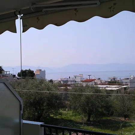Studios Veneti Loutra Edipsou  Room photo